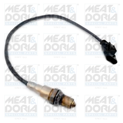 Oxygen Sensor